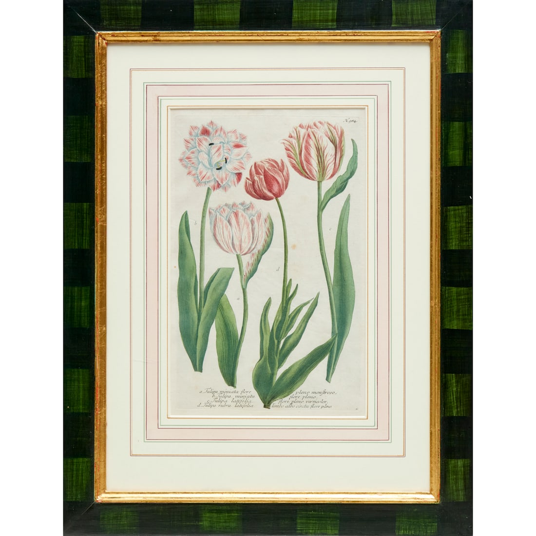 Johann Weinmann, hand-colored engraving, 18th c. (1 of 7)