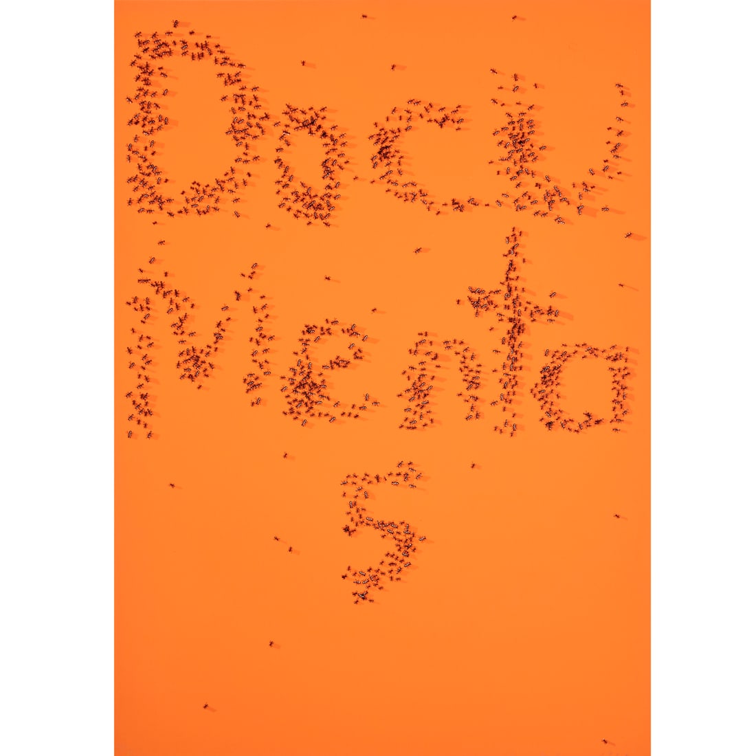 Ed Ruscha, screenprint, 1972: Ed Ruscha, screenprint, 1972, Ed Ruscha (American, b. 1937), "Documenta 5", screenprint in colors on heavy wove paper, pencil signed and dated lower right, numbered 120/150 lower left, loose and unfra