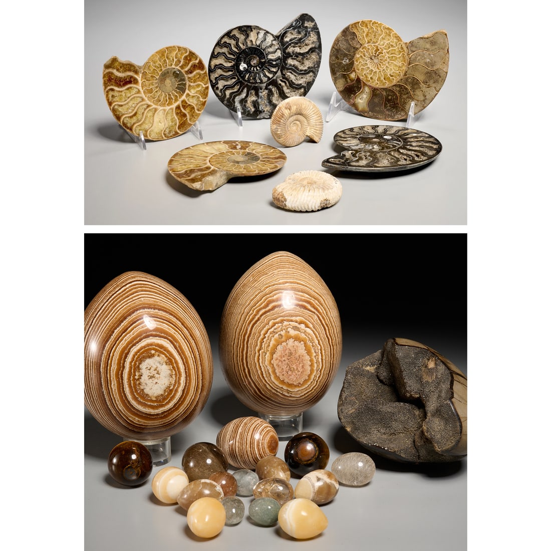 Group stone, mineral, & ammonite fossil specimens (1 of 10)