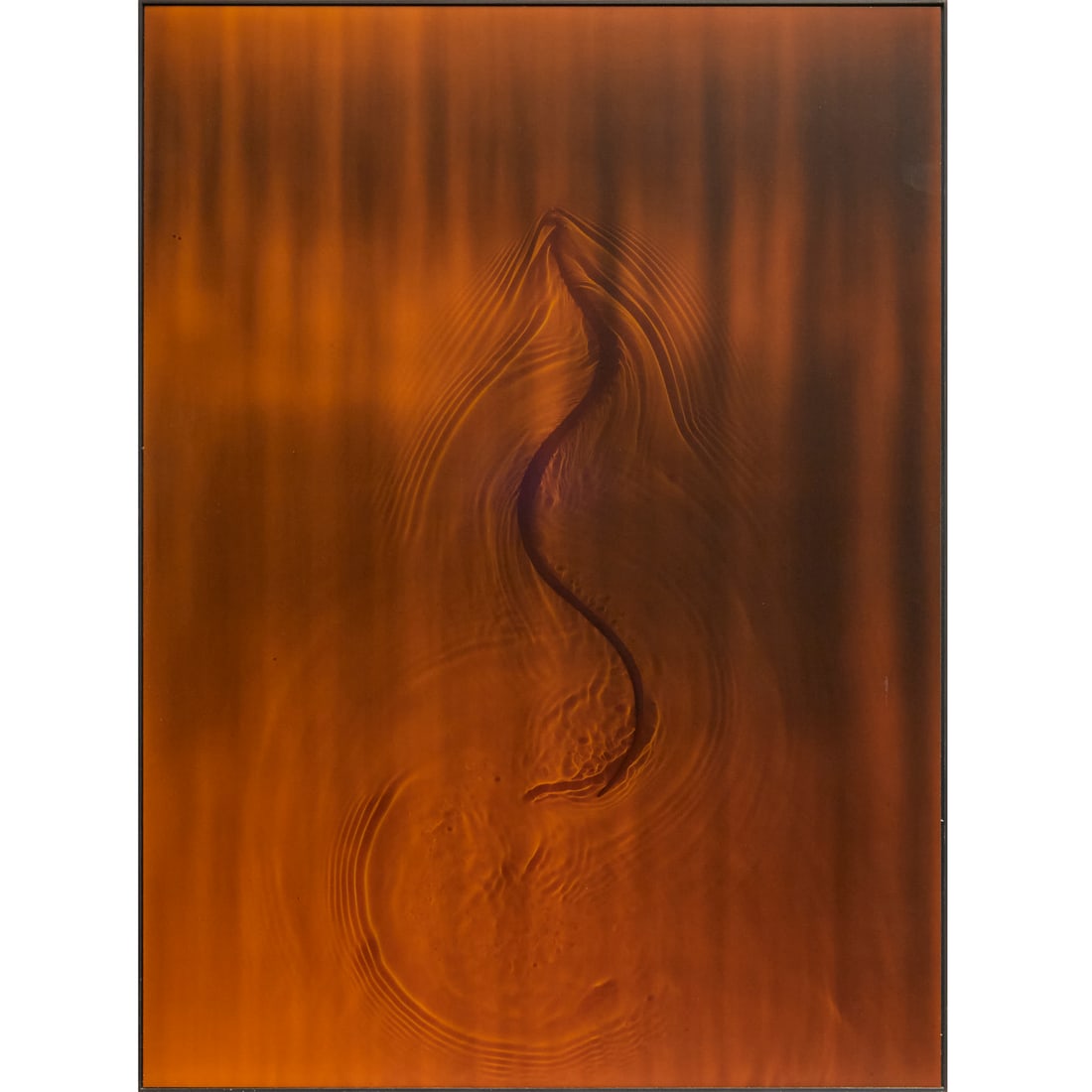 Adam Fuss, unique Cibachrome photogram, 1991 (1 of 7)