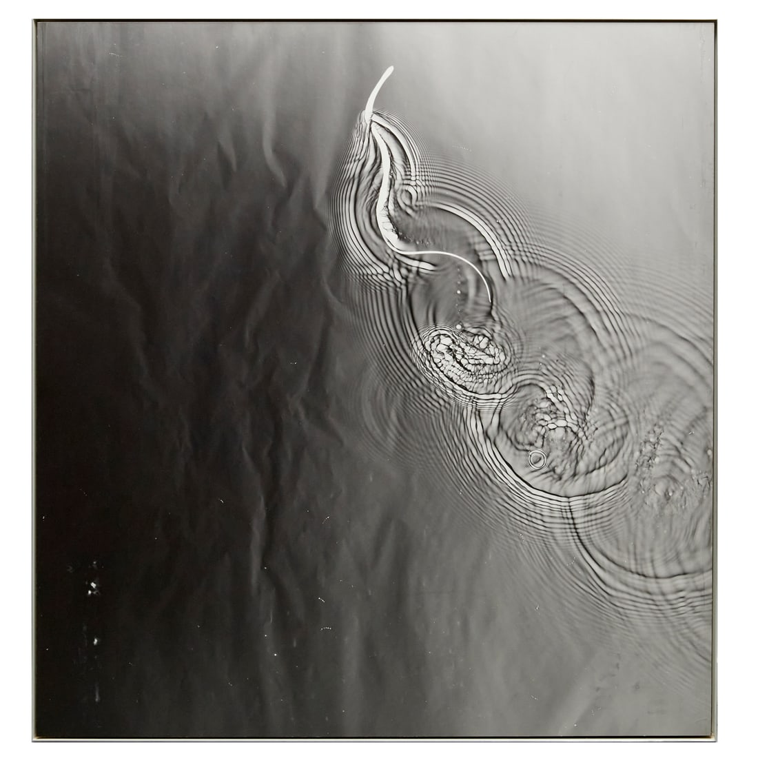 Adam Fuss, unique photogram, 1988 (1 of 9)
