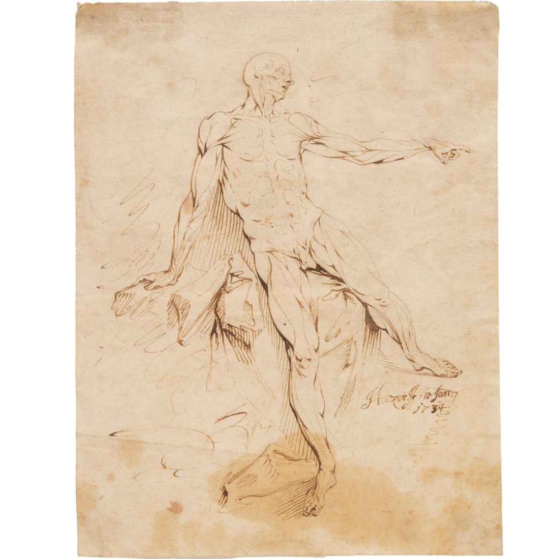 Johann Evangelist Holzer, ink on paper, 1734: Johann Evangelist Holzer, ink on paper, 1734, Johann Evangelist Holzer (Austrian-German, 1709-1740), untitled anatomical figure, signed and dated lower right, matted and framed under glass, 7.25"h x 5