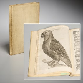 Giovanni Olina, Uccelliera [Aviary], 1622