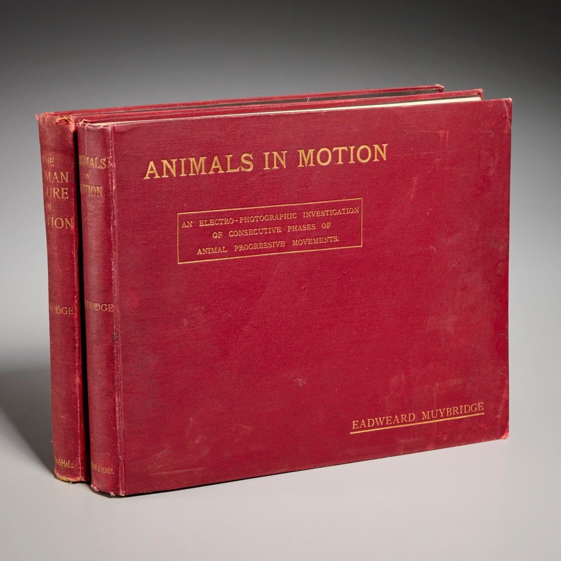 Muybridge, (2) vols., Animals & Figures in Motion (1 of 10)