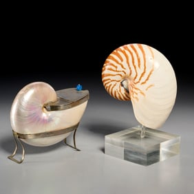 Nautilus shell spoon warmer and shell on stand