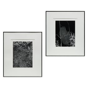 Andreas Feininger, (2) photographs
