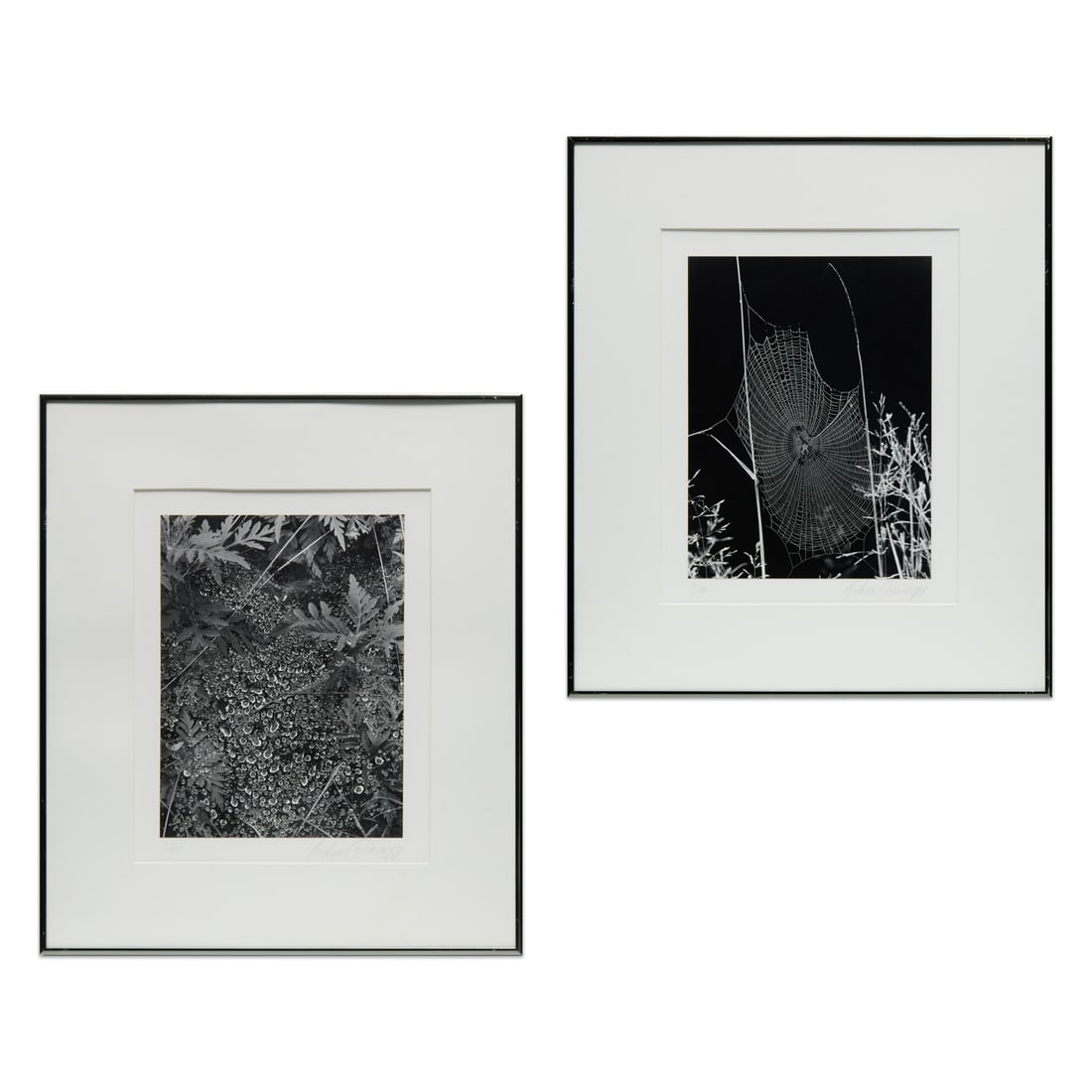 Andreas Feininger, (2) photographs (1 of 12)