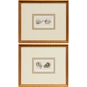 Karel Dujardin, (2) etchings, 17th c.