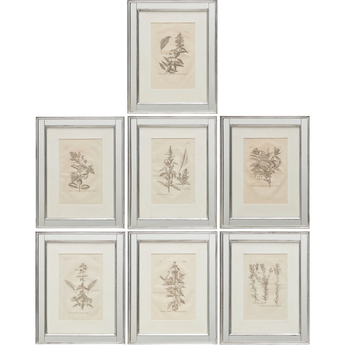 Johann Dillenius, (7) botanical engravings, 1732 (1 of 9)