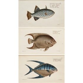P. Haas and L. Schmidt, (3) fish prints