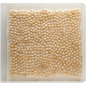 Rivane Neuenschwander, mixed media sculpture, 1997