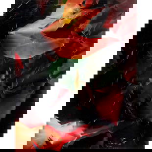 Walead Beshty, photoprint on Fujifilm: Walead Beshty, photoprint on Fujifilm, Walead Beshty (British, b. 1977), Untitled (Abstract), signature not observed, includes label, 10"h x 8"w Provenance: LAXART, Los Angeles