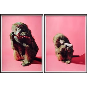 Heji Shin, (2) inkjet prints, 2016