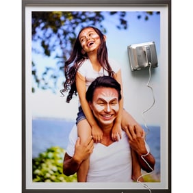 DIS, c-print and Winbot, 2016