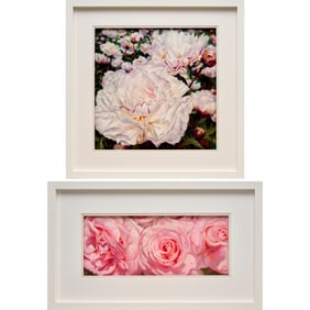 Lyn Diefenbach, (2) pastels on paper