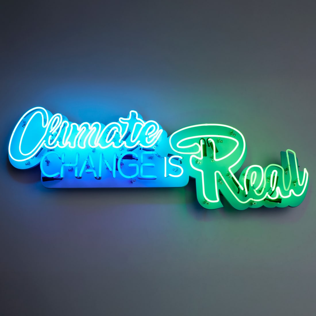 Andrea Bowers, neon light, 2017 (1 of 9)