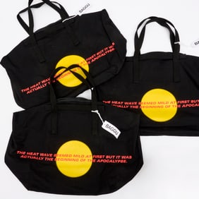 Alex Israel, (3) Baggu bags