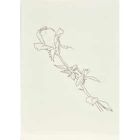 Caitlin Keogh, colored pencil on paper, 2019