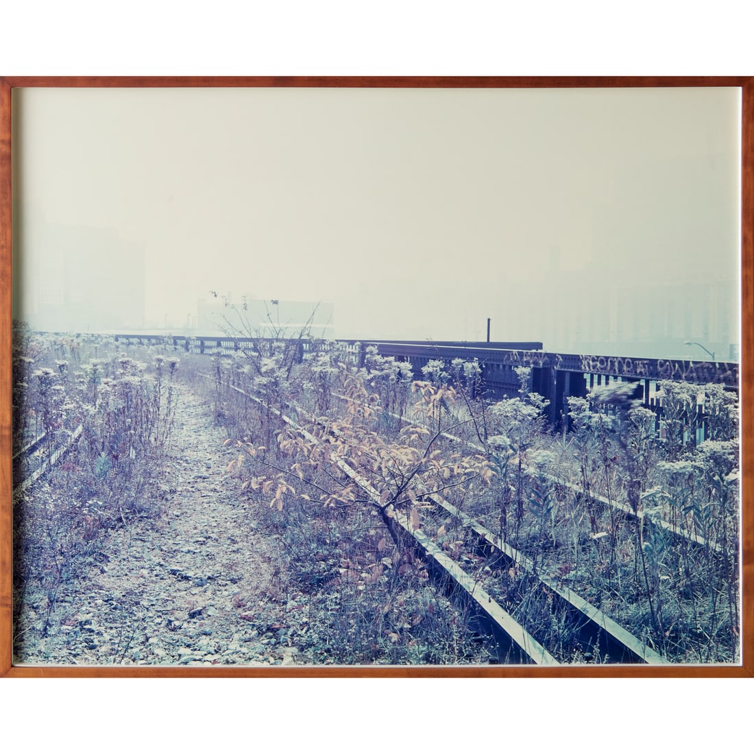 Joel Sternfeld, Ektacolor print mounted to plexi (1 of 7)