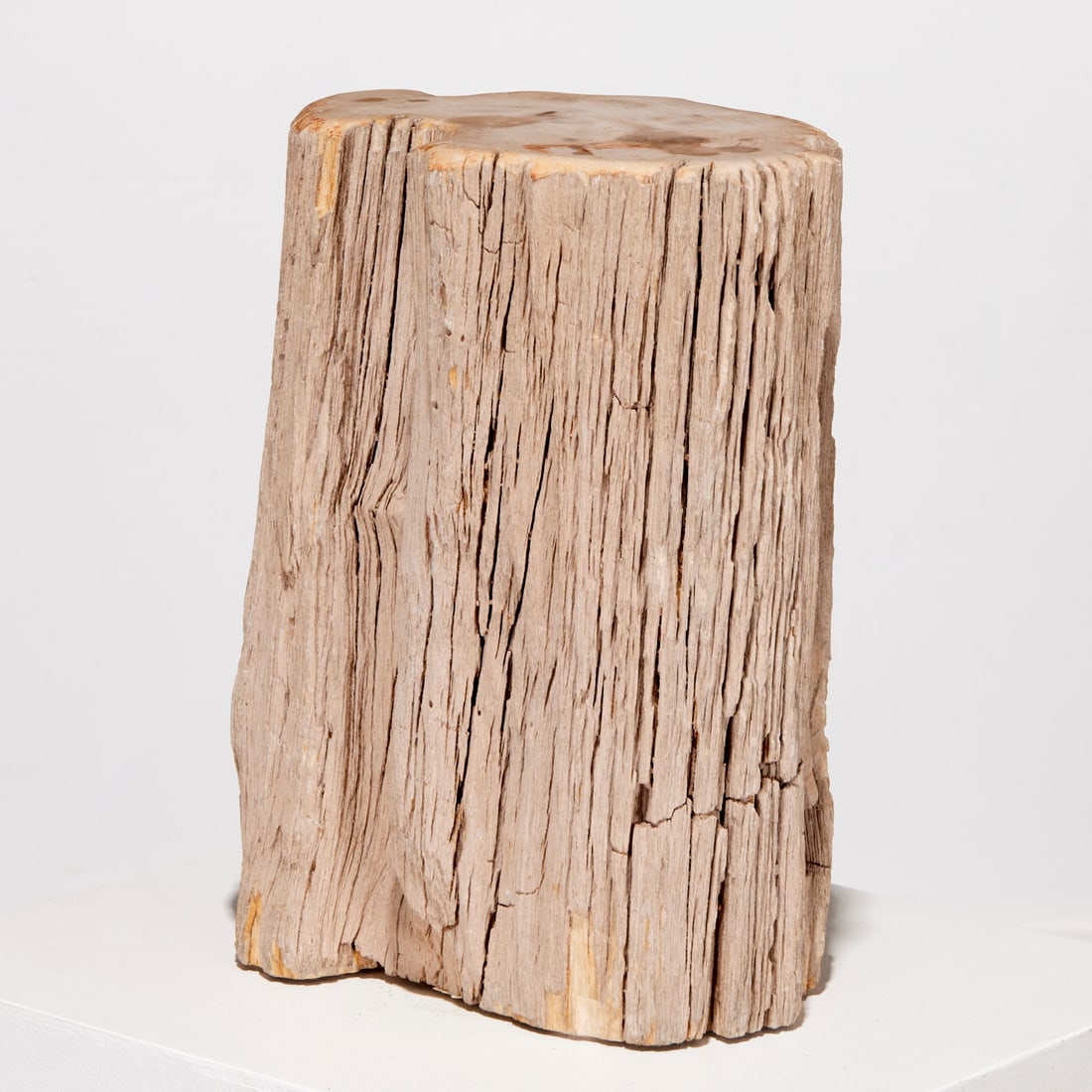 Petrified wood section stool or occasional table (1 of 6)