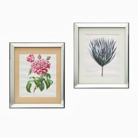 (2) Large botanical prints, in mirror panel