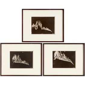 (3) Antique scientific photographs, c. 1915