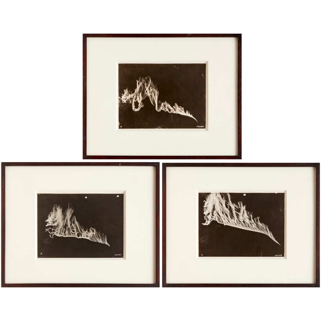 (3) Antique scientific photographs, c. 1915 (1 of 11)