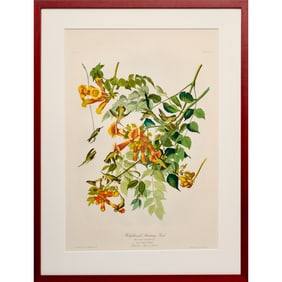 Audubon elephant folio chromolithograph