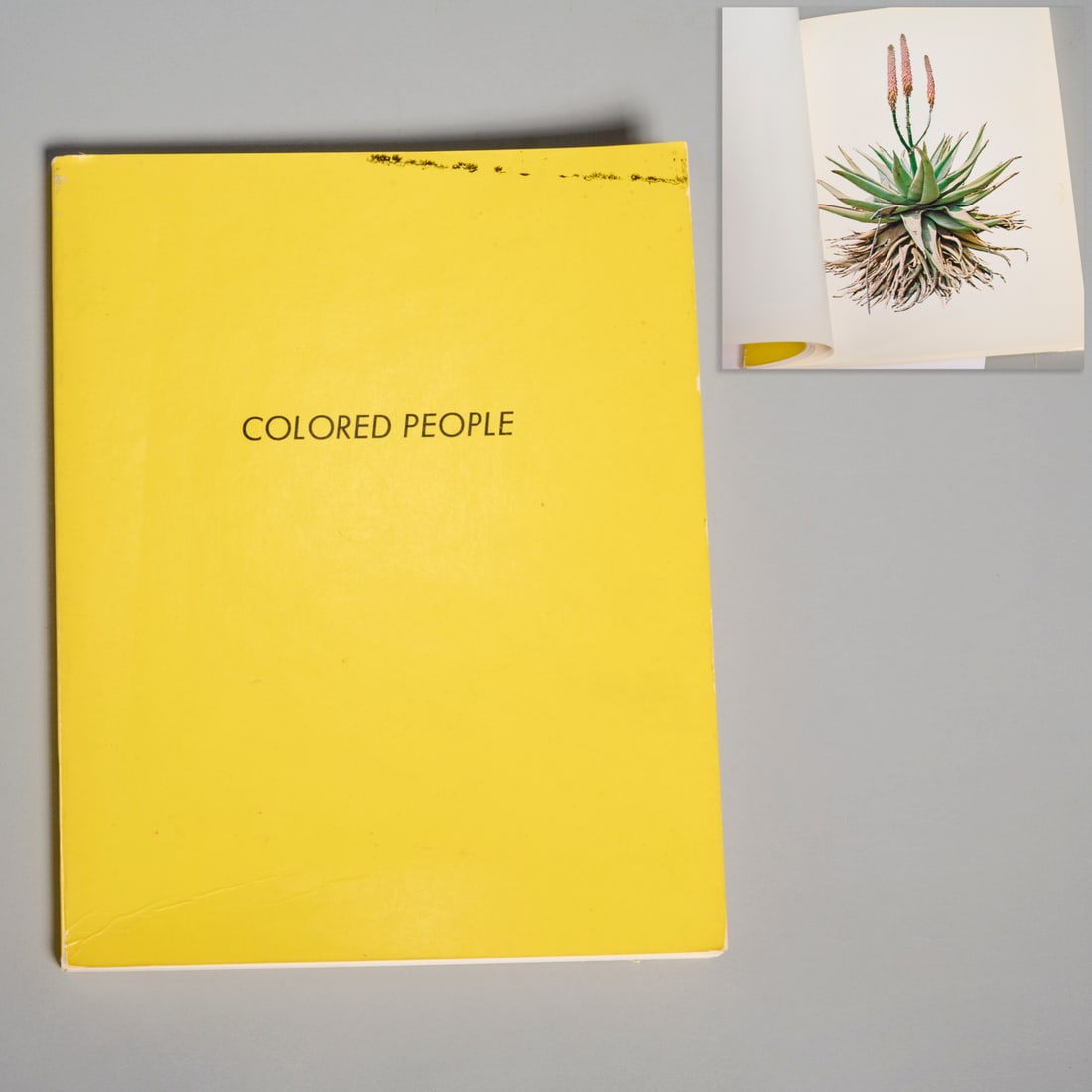 Ed Ruscha, "Colored People", 1972: Ed Ruscha, "Colored People", 1972, Edward Ruscha (American, b. 1937), softcover book, 4-color offset printed on 100 lb Flocote enamel paper, 15 color images, 7"h x 5.5"w