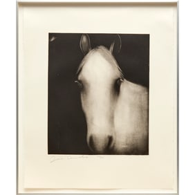 Joe Andoe, etching and aquatint on paper