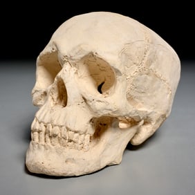 Memento Mori pottery skull, signed "SB", 1991
