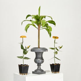 (3) Tole peinte botanical models