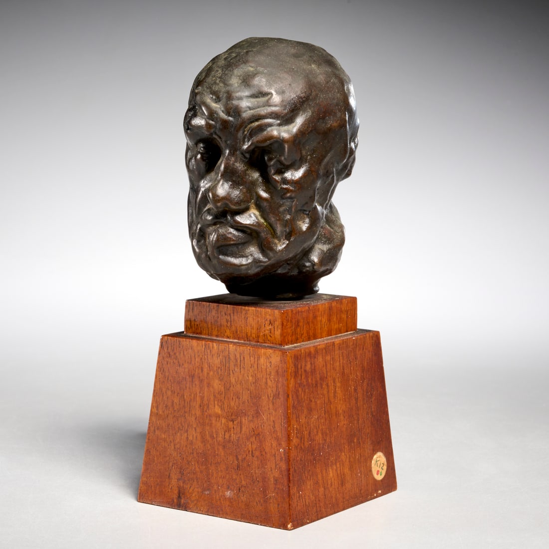 Auguste Rodin (after), bronze bust (1 of 7)