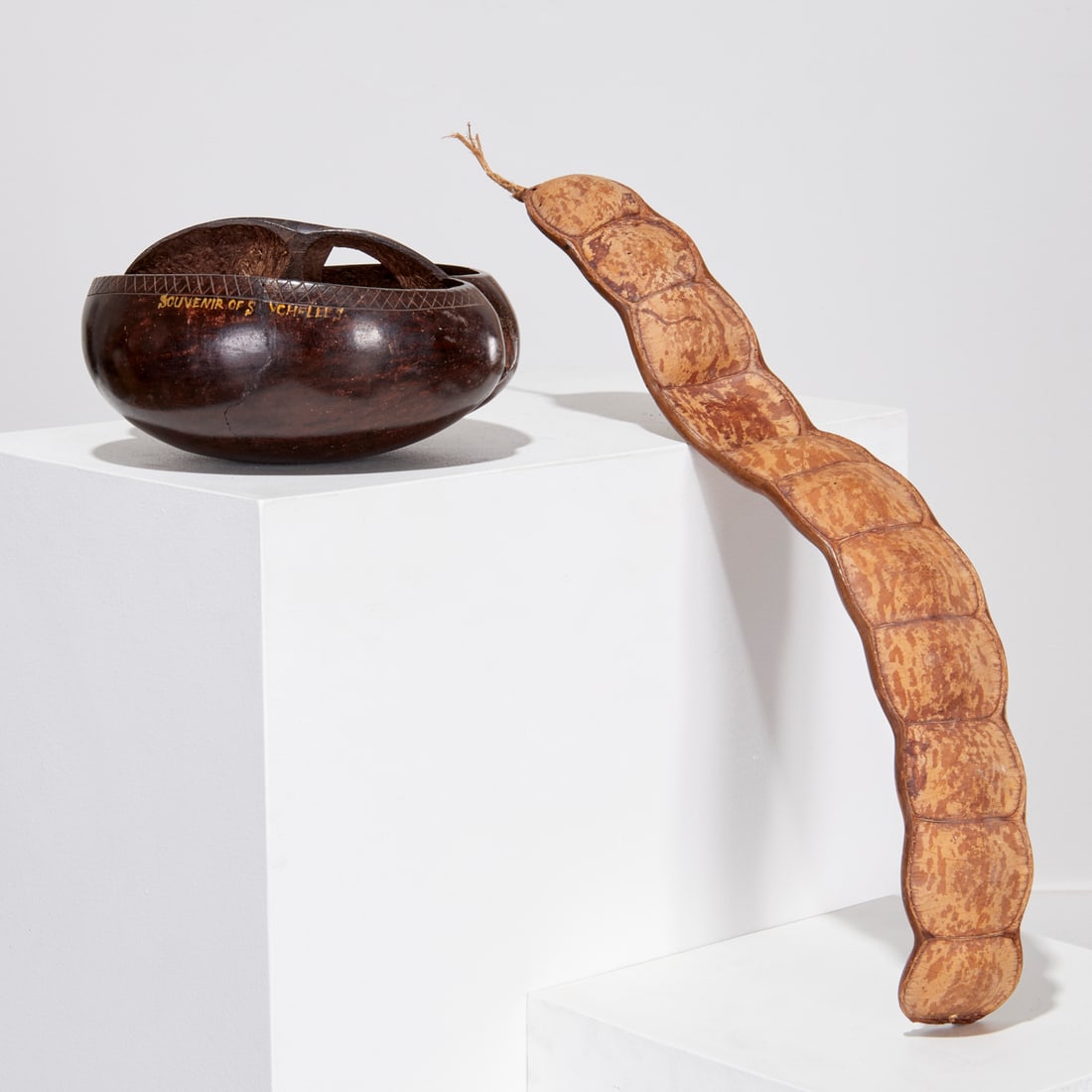 Coco de Mer bowl and St. Thomas seed pod (1 of 9)