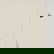 item-210037322=4