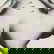 item-210037322=5