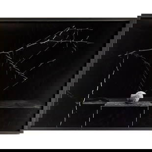 Zeke Berman, gelatin silver print, 1988: Zeke Berman, gelatin silver print, 1988, Zeke Berman (American, b. 1951), Untitled (Web #2), likely signed and inscribed verso, numbered 1/20, scan of verso to back of frame, 25"h x 33"w (sight), 26.5