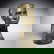item-210038406=1