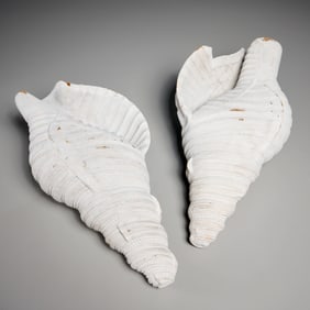Pair large carved wood conch shells