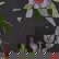 item-210038941=6