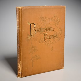 Faxon & Emerton, Beautiful Ferns, 1882