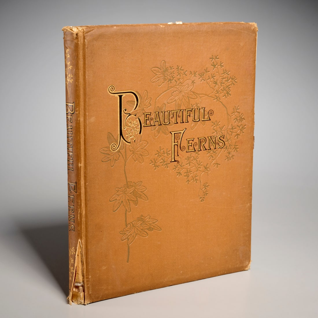 Faxon & Emerton, Beautiful Ferns, 1882: Faxon & Emerton, Beautiful Ferns, 1882, Beautiful Ferns from Original Water-Color Drawings After Nature, by C. E. Faxon and J. H. Emerton, text by Daniel Cady Eaton. S. E. Cassino, Boston, 10 color pl