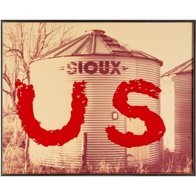 Edgar Heap of Birds, mixed media painting