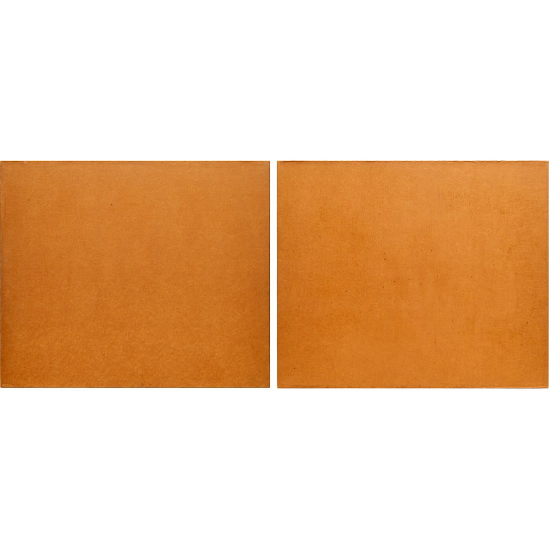 Serge Spitzer, mixed media diptych, 1984-87 (1 of 8)