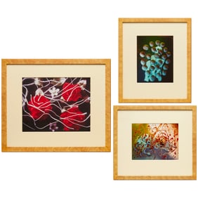 Jimmy DeSana, (3) Cibachrome photographs