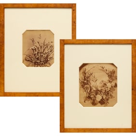 Adolphe Braun, (2) albumen photographs, c. 1865