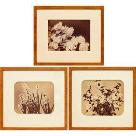 Adolphe Braun, (3) albumen photographs, c.1865