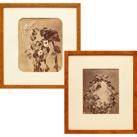 Adolphe Braun, (2) albumen photographs, c.1865