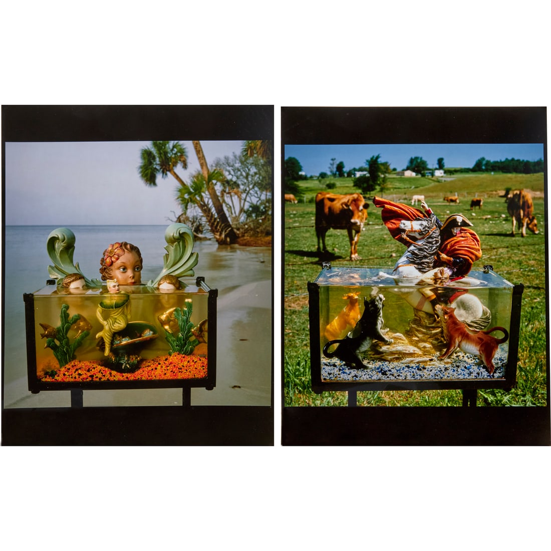 Arthur Tress, (2) Cibachrome prints, 1989 (1 of 7)