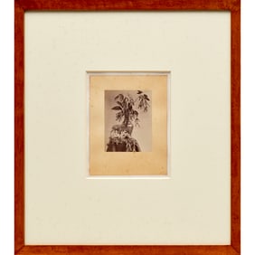 Tony Boussenot, albumen photograph, c. 1860